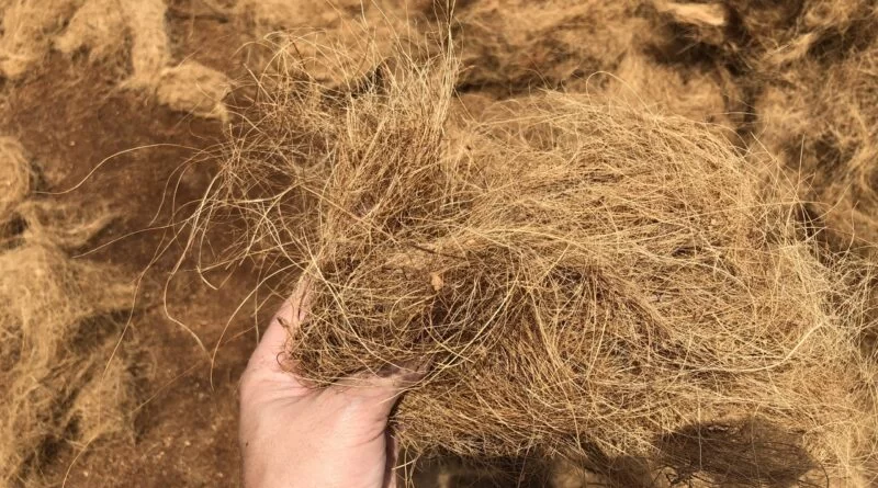 Coco Fiber